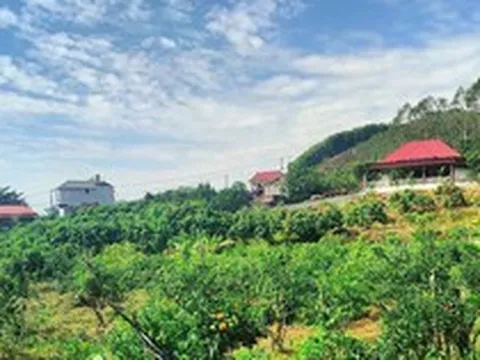 Loại đất và hạn mức công nhận đất ở sau sáp nhập