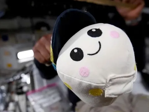 Cậu bé 8 tuổi tạo gấu bông chỉ báo không trọng lực trên tàu Artemis II