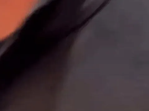 Nam ca sĩ 26 tuổi bị fan cuồng chửi bới, gây hỗn loạn tại sân bay