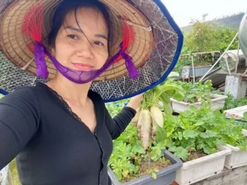Mẹ 5 con biến sân thượng thành 'vườn quê', 11 năm nuôi cả nhà bằng rau sạch