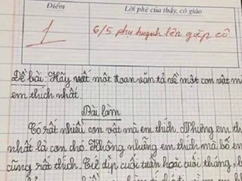 Bé tiểu học viết văn tả con vật yêu thích, cô giáo đọc xong liền mời phụ huynh đến trường