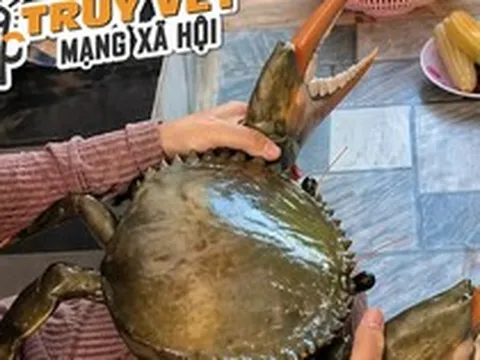 Clip con cua 7 kg ở An Giang nổi tiếng mạng xã hội với 4,4 triệu lượt xem