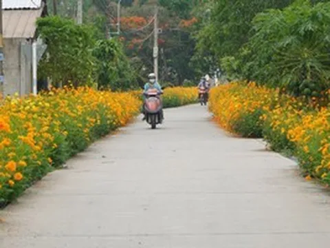 TPHCM: Xã đủ điều kiện khẩn trương hoàn thiện thủ tục lên phường