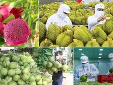 Ngành rau quả tự tin mục tiêu 10 tỷ USD xuất khẩu