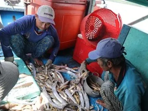 Vì sao nhiều người dân ở "xã An toàn khu" TPHCM chưa nhận được thẻ BHYT miễn phí?