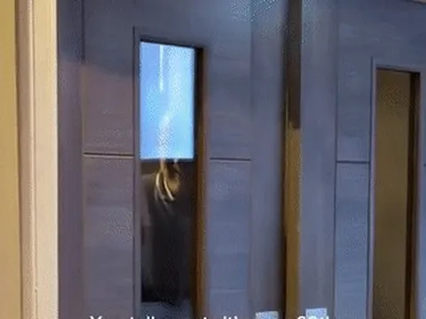 Cặp đôi 'chị em' biến tiệc sinh nhật thành đám cưới khiến người thân đứng hình