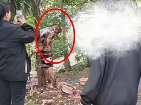 Chú rể bị lột đồ, dội nước tương, ném trứng rồi trói vào cây gây bức xúc