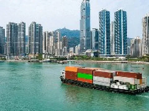 Việt Nam vừa đón tin vui từ Brazil