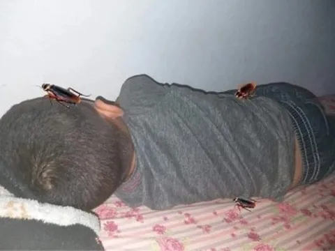 Bà mẹ gây tranh cãi với bức ảnh “trị” con trai lười tắm, khiến đứa trẻ sợ đến mức tắm 10 lần/ngày