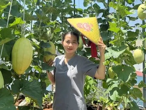 Vườn dưa lúc lỉu trên sân thượng ở TPHCM, chủ nhà 5 năm làm việc 'ngược đời'