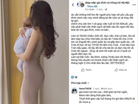 Mẹ Hà Nội tìm giúp việc làm hơn 7 tiếng mỗi ngày, lương 8 triệu/tháng gây tranh cãi