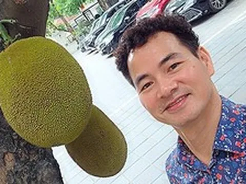 Cây mít nổi tiếng nhất Việt Nam khiến Cục trưởng Xuân Bắc phải đi làm cả cuối tuần để... canh chừng!