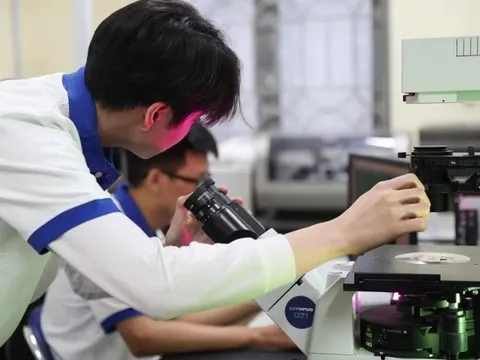Để không trở thành ‘vết đen’ công bố bài báo khoa học