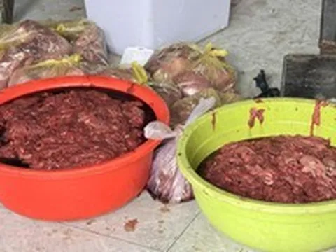 Rùng mình thủ đoạn của Nguyễn Văn Thái cùng đồng bọn khi tuồn 65 tấn thịt bò giả, chứa hóa chất ra thị trường
