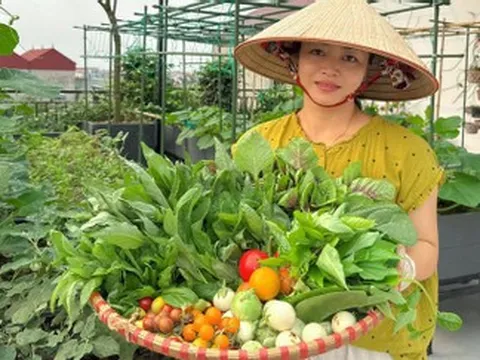 Chi 30 triệu làm vườn sân thượng, mẹ đảm Bắc Ninh tha hồ thu rau trái quanh năm
