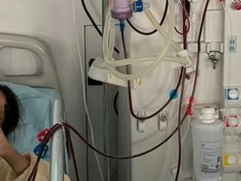 Ăn món "vạn người mê" suốt 10 ngày, người đàn ông 28 tuổi máu đặc như siro