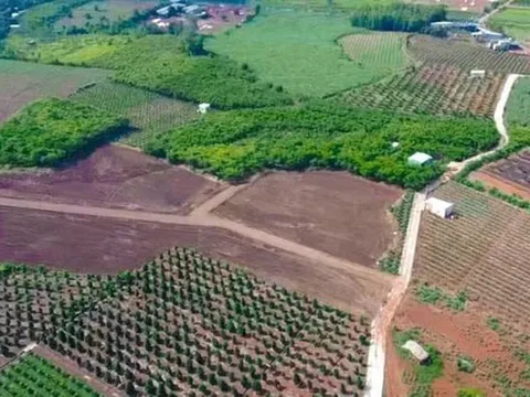 Từ ngày 18/5, Chủ tịch xã được cấp phép xây dựng công trình trên đất nông nghiệp ở Hà Nội