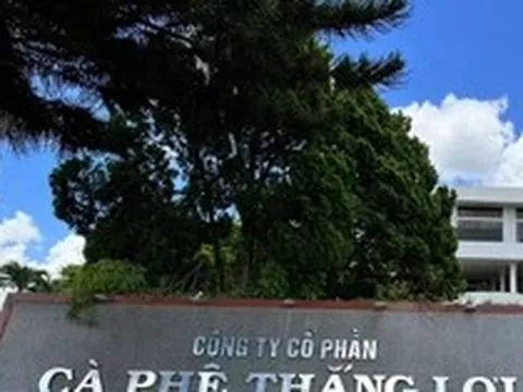 Thu hồi hơn 525ha đất liên kết trồng cà phê ở Đắk Lắk
