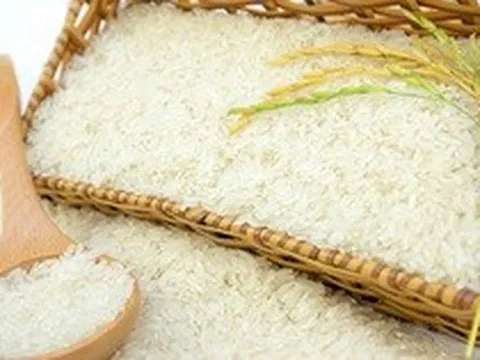 Nước mua gạo lớn nhất thế giới ra cảnh báo mới, tàu Việt vẫn dồn dập cập cảng