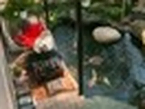 Nữ ca sĩ Việt tự sinh con, 41 vẫn chưa lấy chồng: Sống trong biệt thự 20 tỷ view nhìn thẳng sông