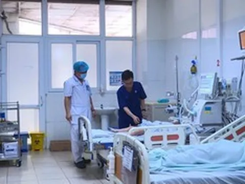 Bị rắn độc cắn khi đang ngủ ban đêm, bé 5 tuổi nguy kịch