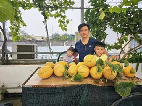 Gia đình ở Lâm Đồng làm vườn 72m2 trên sân thượng, ăn trái cây sạch quanh năm