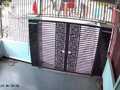Ngủ dậy thấy cổng bị che bạt kín, người mẹ ở Thanh Hóa xúc động khi biết lý do