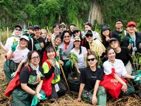 Hà Anh Tuấn, Bùi Công Nam, Phùng Khánh Linh lội bùn trồng rừng