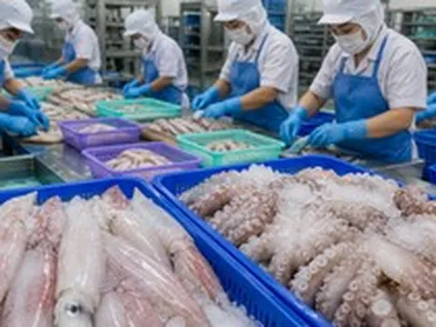 Việt Nam đón tin vui cùng lúc từ Hàn Quốc và Nhật Bản