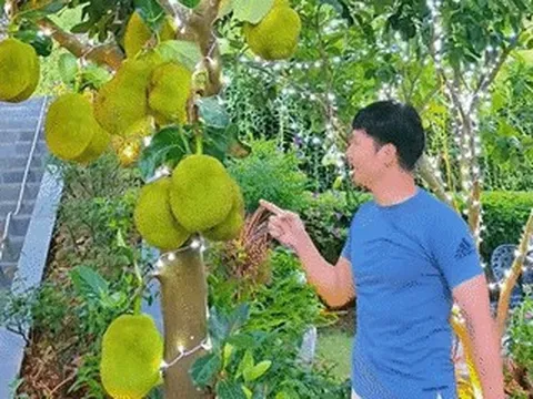 Mạnh Trường khoe mít trĩu quả trong biệt thự nhà vườn, con trai Jennifer Phạm cao vượt mẹ