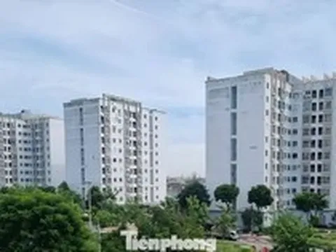 Đà Nẵng cho thuê nhà ở xã hội từ 54.000 đồng/m2/tháng