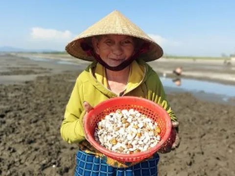 Bà lão U80 phơi mình nhiều giờ dưới nắng gắt, còng lưng săn lộc trời