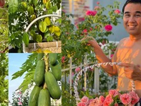 Đại gia Sài thành khoe khu vườn đẹp như resort riêng: Hóa ra đây chính là "xa xỉ phẩm" của người giàu