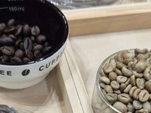 Giá cà phê hôm nay 17-6: Arabica bùng nổ, Robusta nối dài chuỗi tăng