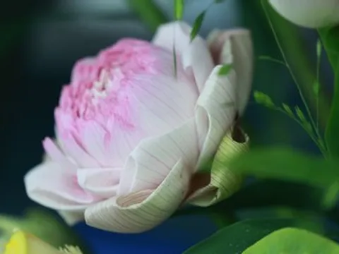 Khung giờ vàng cúng tết Đoan ngọ năm 2026 theo chuyên gia phong thủy