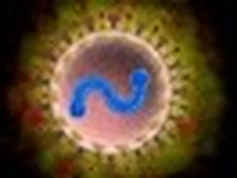 Bác sĩ Bạch Mai cảnh báo: 1 loại virus nhiều người tưởng chỉ trẻ em mới mắc, người già nhiễm dễ viêm phổi, suy hô hấp