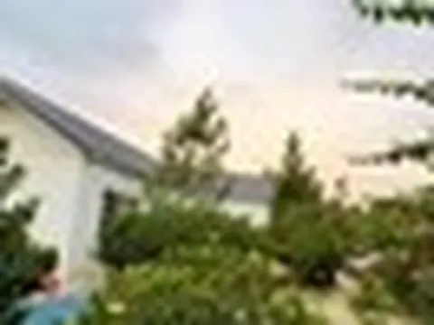 Nam nghệ sĩ Việt sở hữu nhà vườn rộng 1.000m²: Nhìn đâu cũng thấy hoa, góc nào cũng chill như tranh vẽ