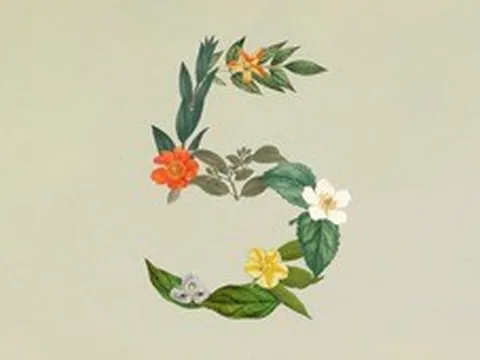 Anthropic ra mắt Claude Sonnet 5: Ngang ngửa Opus 4.8 nhưng giá chỉ bằng một nửa