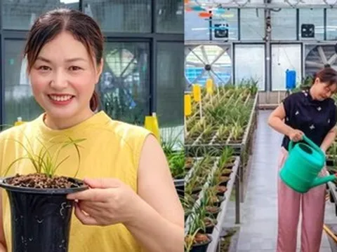 Nữ doanh nhân giúp cả làng đổi đời nhờ loài hoa đặc biệt