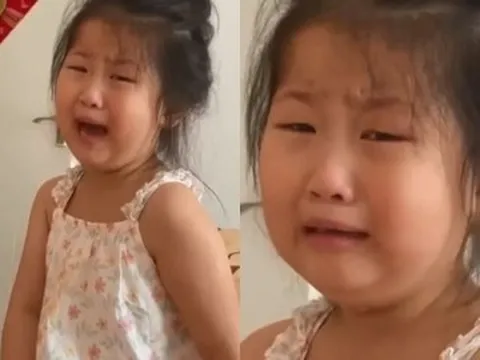 Đi đâu cũng được khen giống bố, bé gái vừa khóc vừa nói "giống bố thì xấu lắm" làm dân tình cười bò