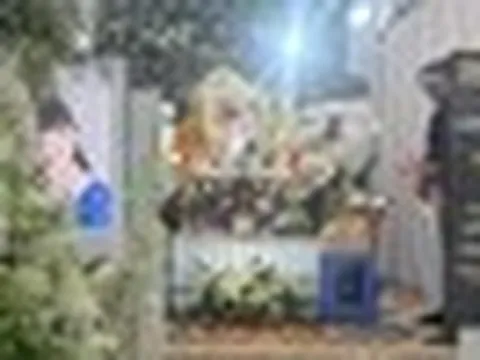 Võ Hạ Trâm nghẹn ngào tiễn biệt nghệ sĩ Bạch Vân: "Con xin lỗi vì đã không về kịp những giây phút cuối"