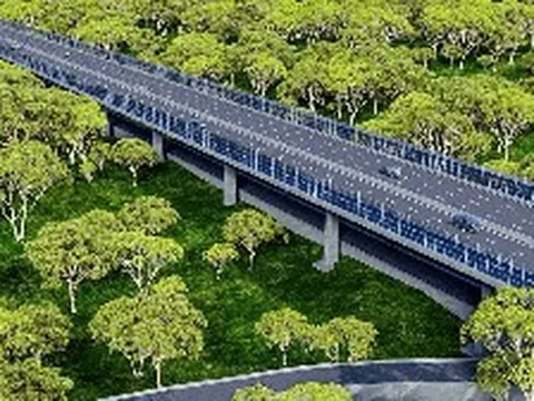 Việt Nam đang xây dựng tuyến đường xuyên rừng nguyên sinh dài 13km, kết nối cầu Mã Đà với Vành đai 4 TP.HCM, lần đầu tiên áp dụng một công nghệ đặc biệt
