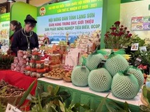 Giảm chi phí thể chế, tăng sức cạnh tranh cho nông nghiệp Việt
