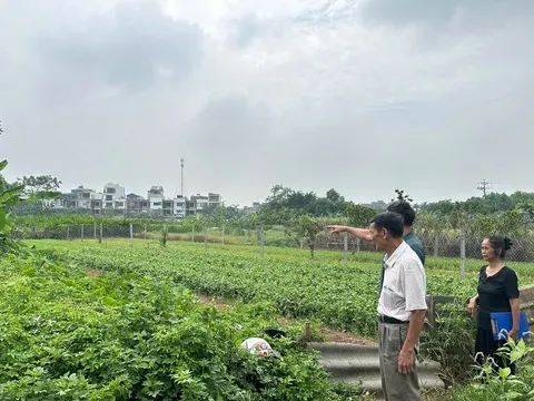 Kiến nghị của 97 hộ dân ở phường Sơn Tây: Bao giờ mới được tháo gỡ?