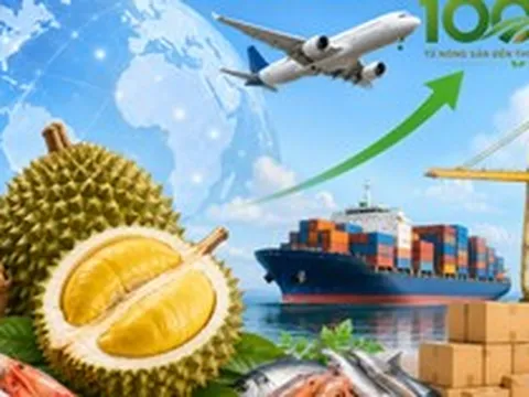 Việt Nam và bài toán xuất khẩu nông sản 100 tỷ USD: ‘Không có chính sách xóa đói giảm nghèo nào tốt hơn việc đưa 9 triệu hộ nông dân nhỏ lẻ ra thẳng thị trường quốc tế’