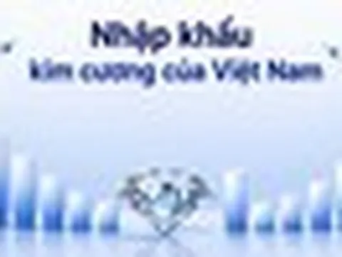 PNJ chỉ mua kim cương từ Hong Kong và Thái Lan: Cục Hải quan hé lộ quy mô nhập khẩu kim cương của Việt Nam