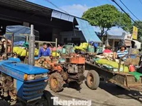Đổ xô đi bán cà phê