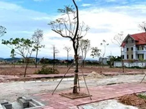 Thị trường đất đấu giá phân hóa: Nơi giảm sâu 30%, nơi ngược dòng giữ sóng