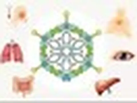 Adenovirus tăng gấp 3 lần, cảnh báo nguy cơ lây nhiễm từ bể bơi công cộng