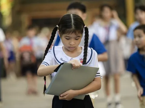 Loạt trường ở TP.HCM cảnh báo lừa đảo tuyển sinh